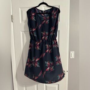 Dresses 2 for $10–Great Condition Navy blue with birds spring dress